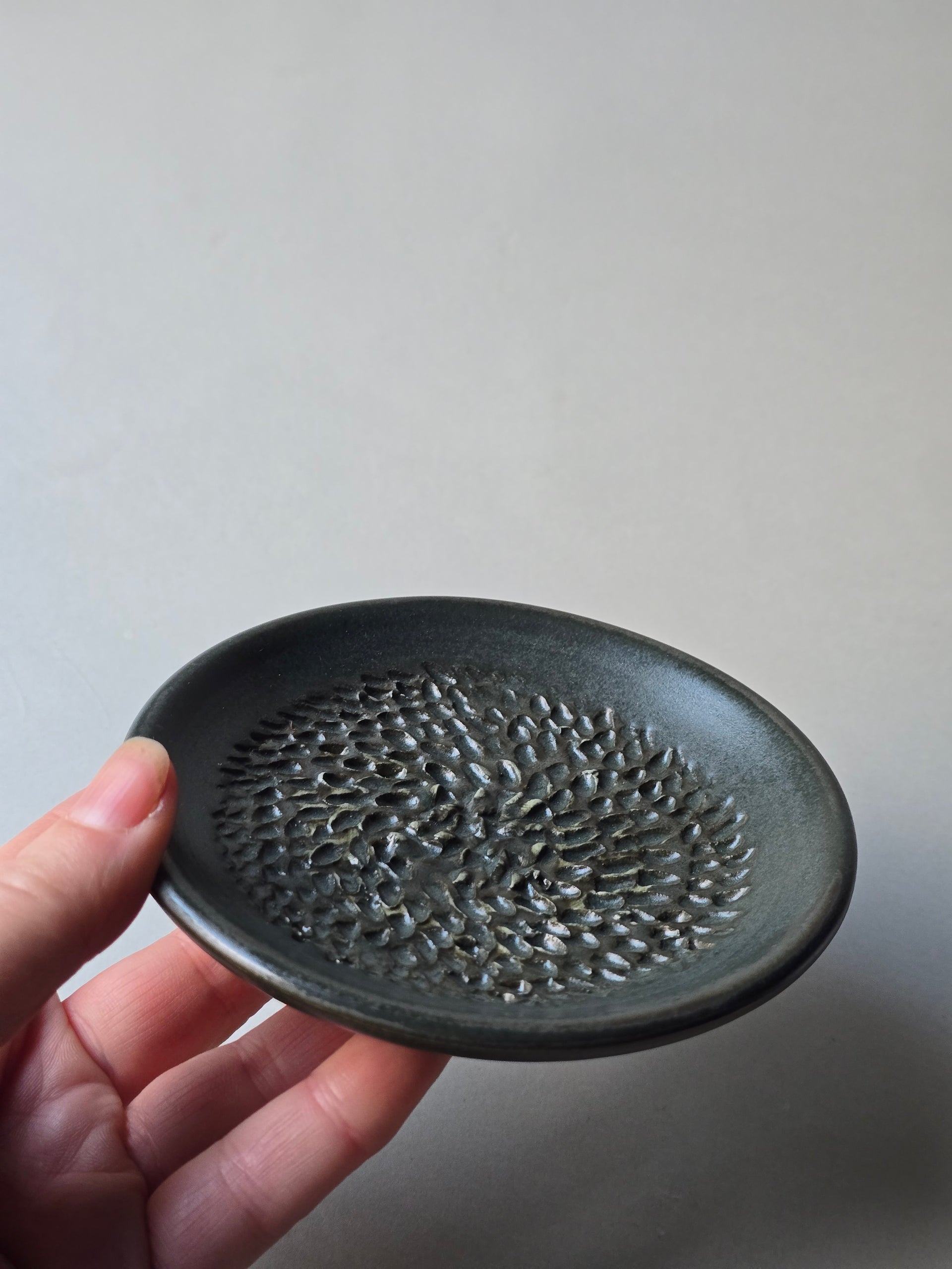 Garlic Graters